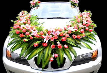 網(wǎng)絡(luò)門牌號(hào)上的婚慶新篇 當(dāng) 051182106370.i-dno.com 牽手溫馨禮儀