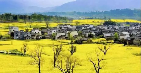 田園綜合體核心引擎 文博堂教你打造高價值休閑農莊的五大策劃密碼