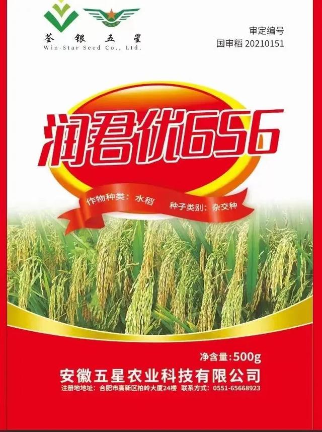 潤君優656.最強一代香稻米,解決香稻,抗倒,產量低的問題